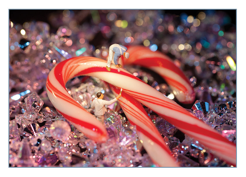 Mixed - Damage Control and Seasonal Work Greeting Cards