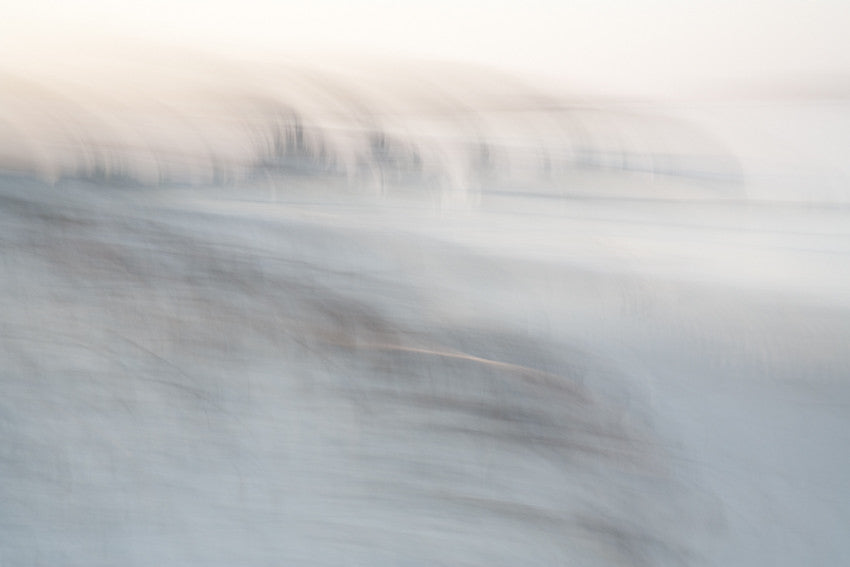 Madagascar, Morondava-1 Beach Grass